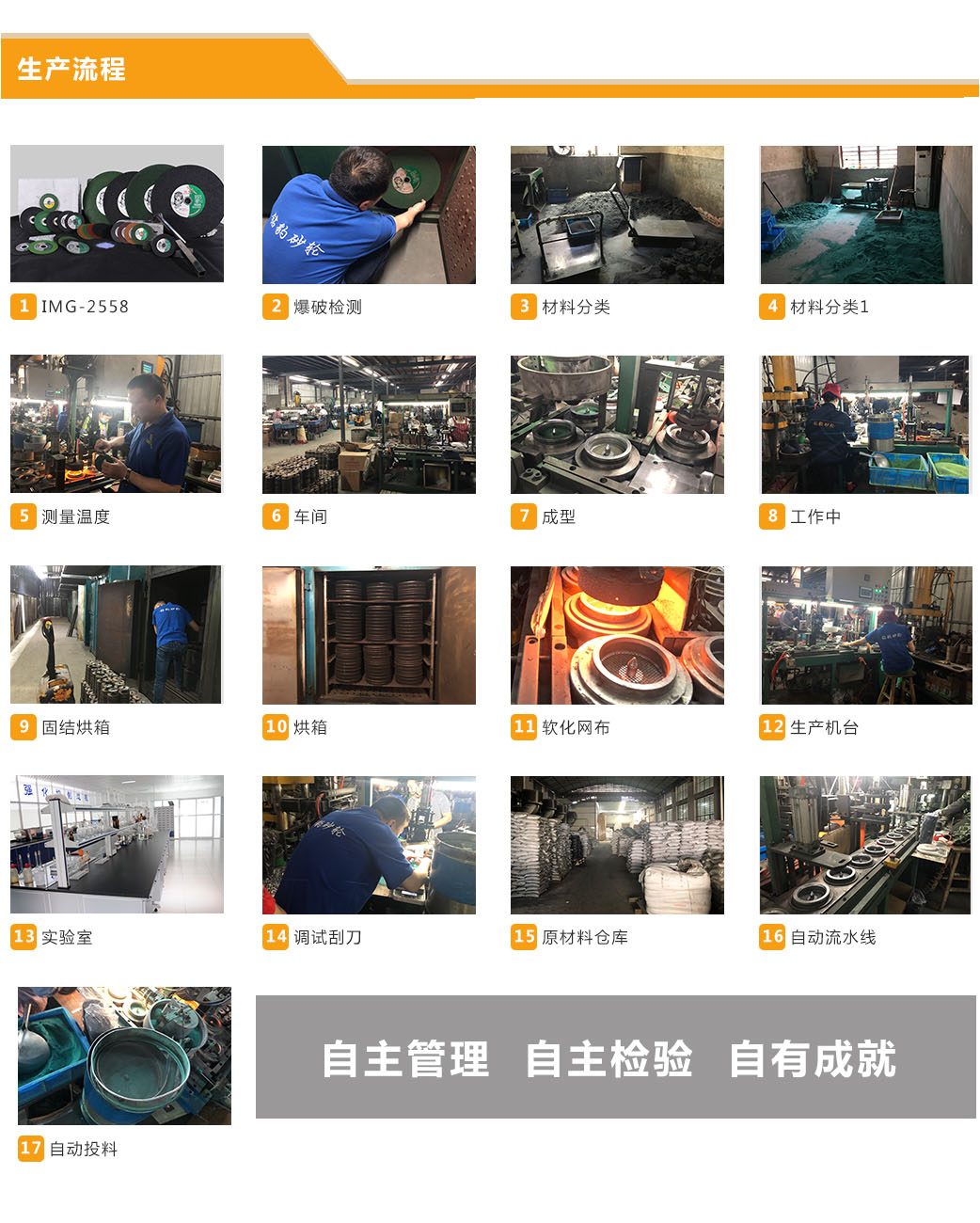 砂輪片（魚(yú)鱗片）(圖7)